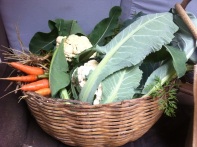 This weeks veggie basket